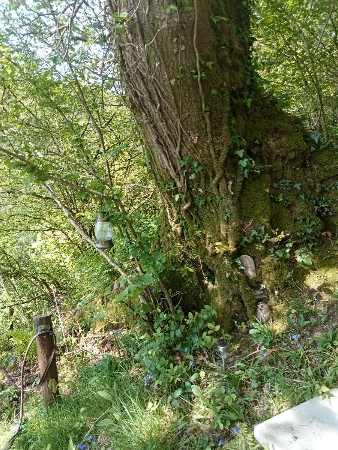 'Morris' The Shepherd'S Hut With Woodland Hot Tub Carmarthen Esterno foto