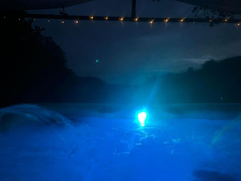 'Morris' The Shepherd'S Hut And Woodland Hot Tub Experience Carmarthen Esterno foto