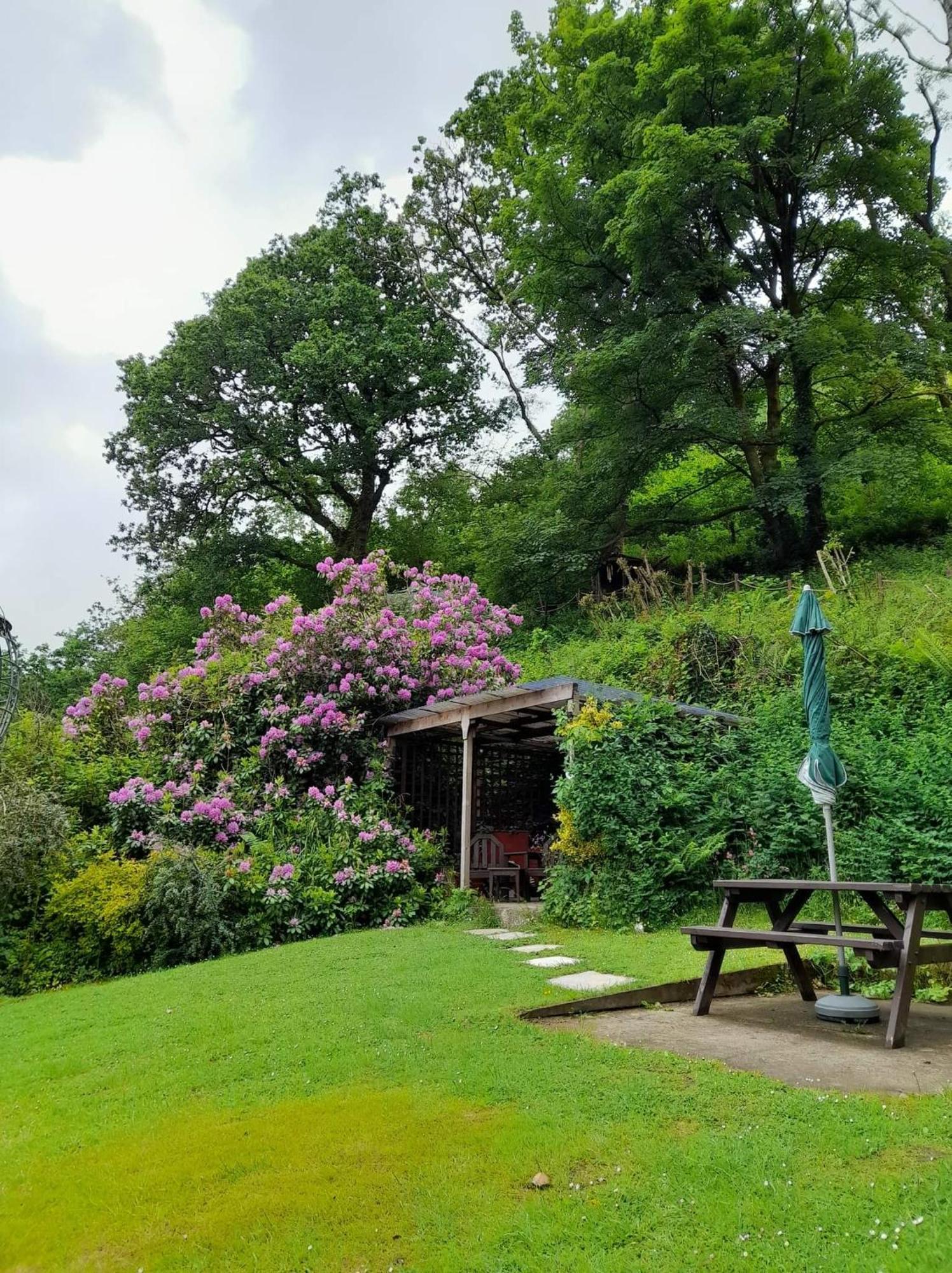 'Morris' The Shepherd'S Hut And Woodland Hot Tub Experience Carmarthen Esterno foto