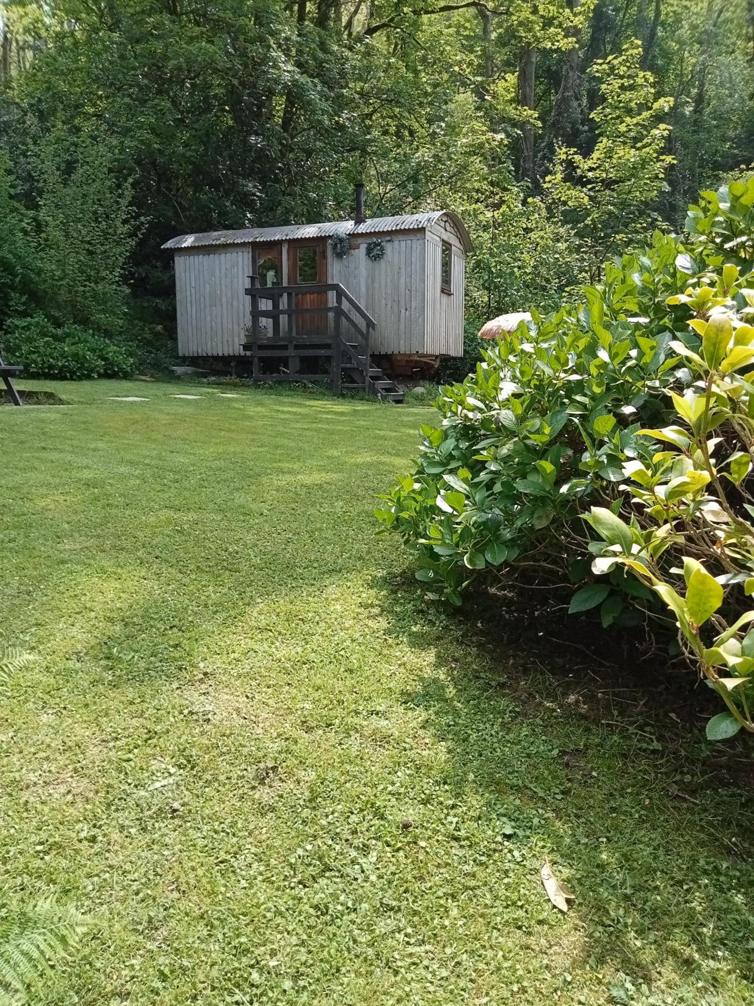 'Morris' The Shepherd'S Hut And Woodland Hot Tub Experience Carmarthen Esterno foto