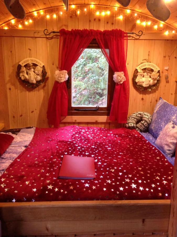 'Morris' The Shepherd'S Hut And Woodland Hot Tub Experience Carmarthen Esterno foto