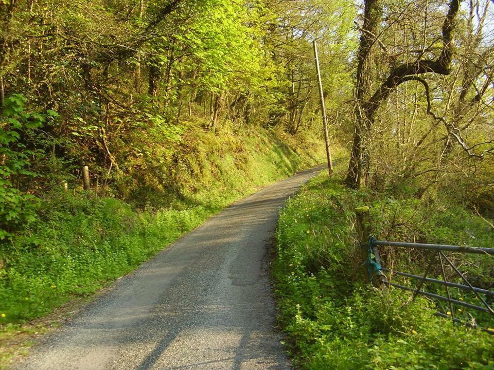 'Morris' The Shepherd'S Hut And Woodland Hot Tub Experience Carmarthen Esterno foto
