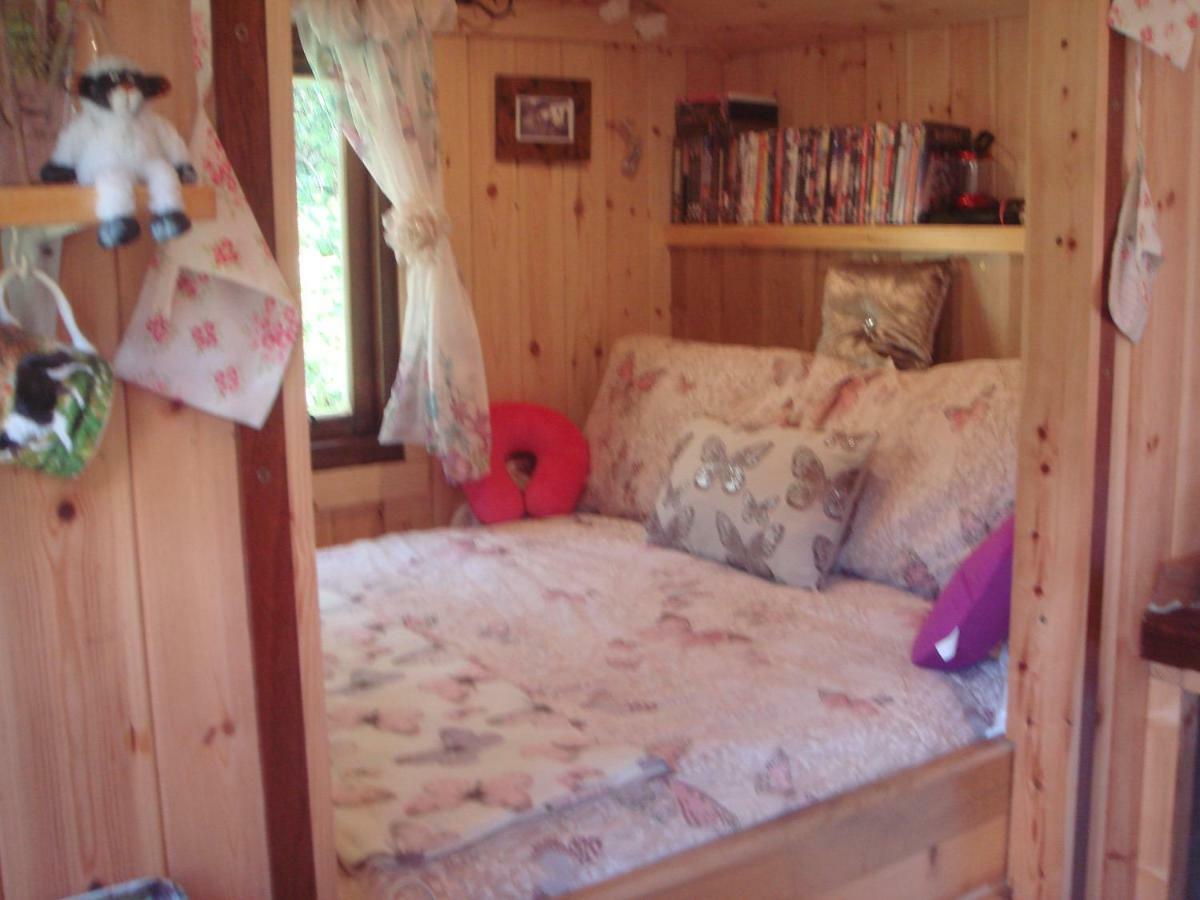 'Morris' The Shepherd'S Hut With Woodland Hot Tub Carmarthen Esterno foto