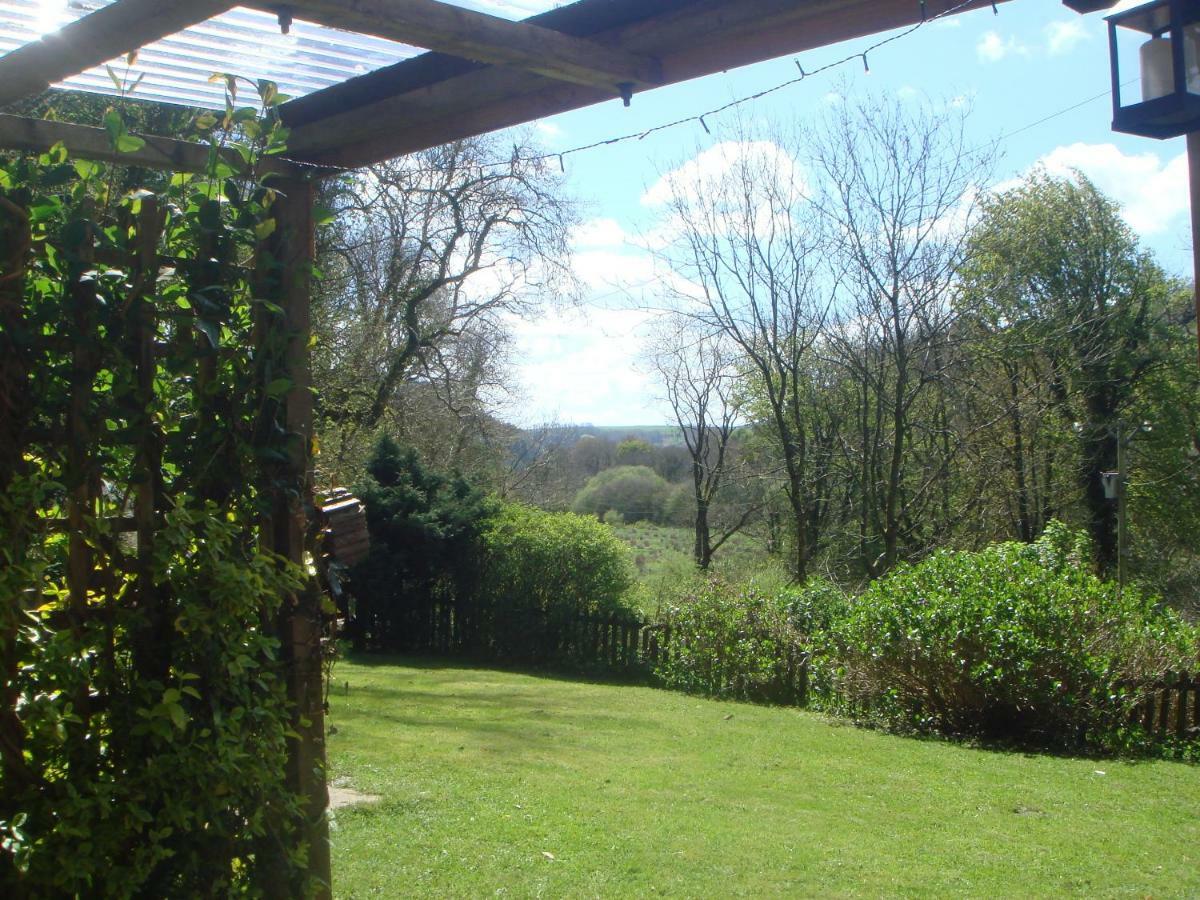 'Morris' The Shepherd'S Hut And Woodland Hot Tub Experience Carmarthen Esterno foto