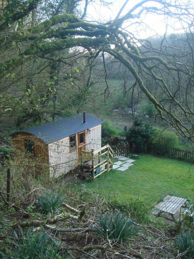 'Morris' The Shepherd'S Hut With Woodland Hot Tub Carmarthen Esterno foto