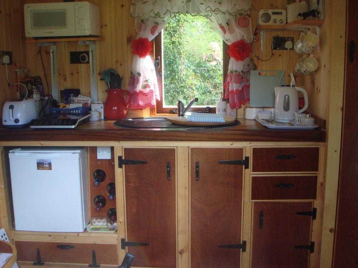 'Morris' The Shepherd'S Hut With Woodland Hot Tub Carmarthen Esterno foto