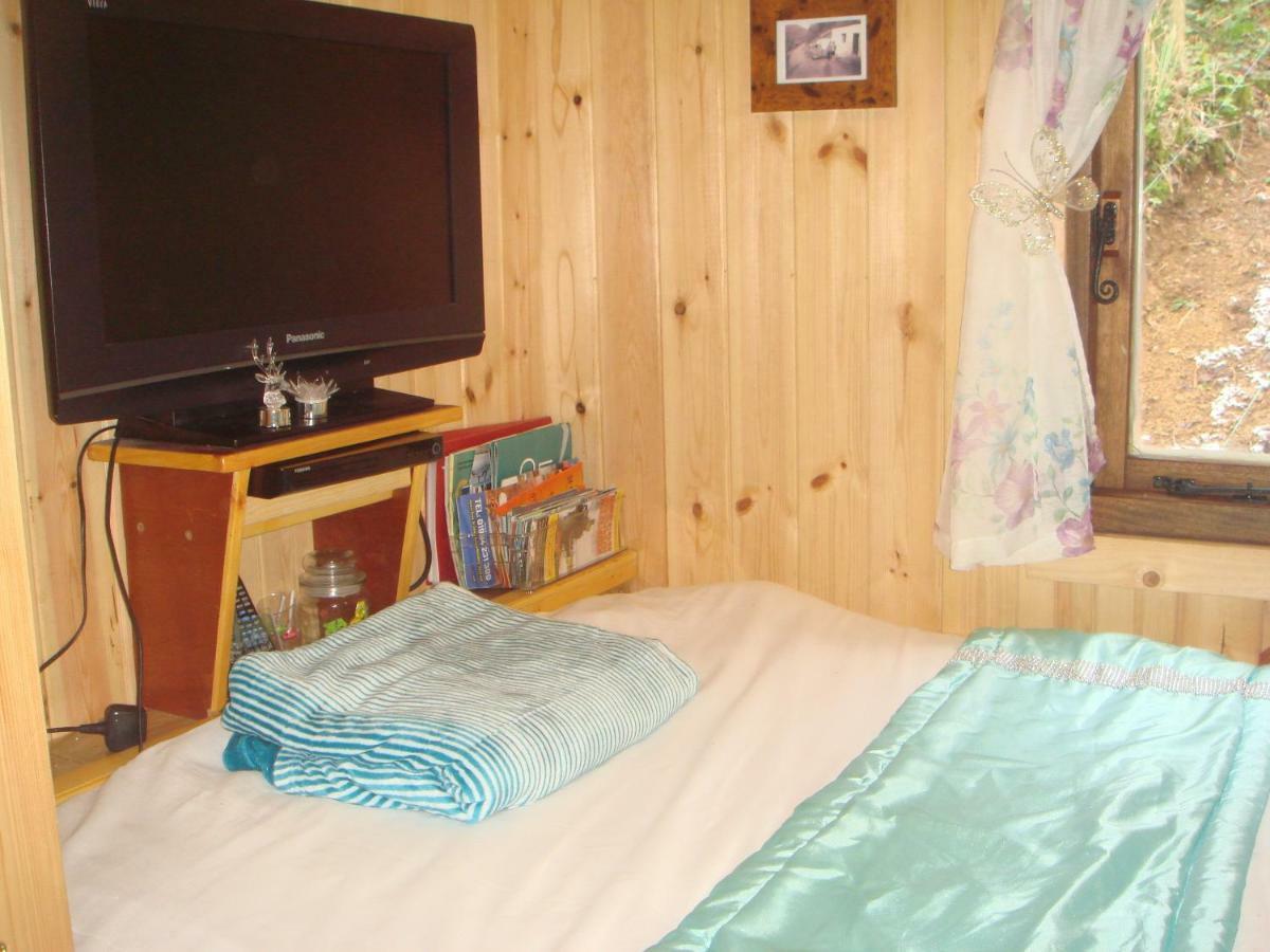 'Morris' The Shepherd'S Hut With Woodland Hot Tub Carmarthen Esterno foto