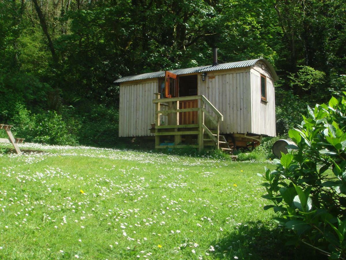 'Morris' The Shepherd'S Hut With Woodland Hot Tub Carmarthen Esterno foto