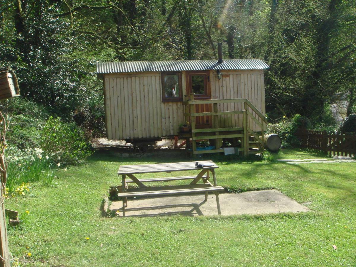 'Morris' The Shepherd'S Hut With Woodland Hot Tub Carmarthen Esterno foto