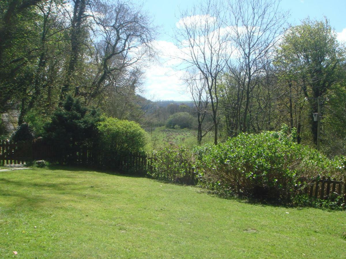 'Morris' The Shepherd'S Hut And Woodland Hot Tub Experience Carmarthen Esterno foto