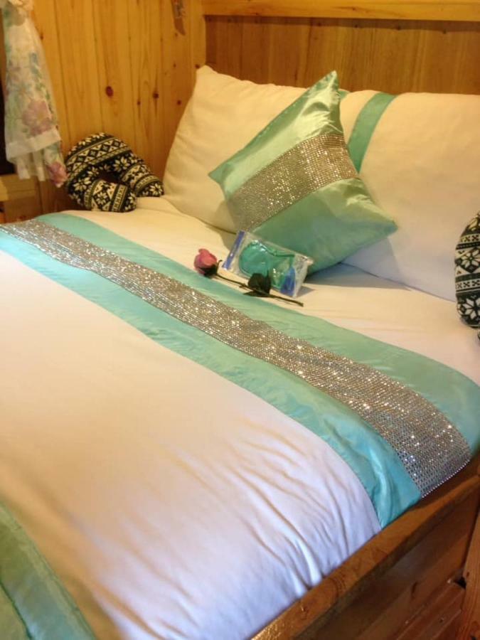 'Morris' The Shepherd'S Hut And Woodland Hot Tub Experience Carmarthen Esterno foto