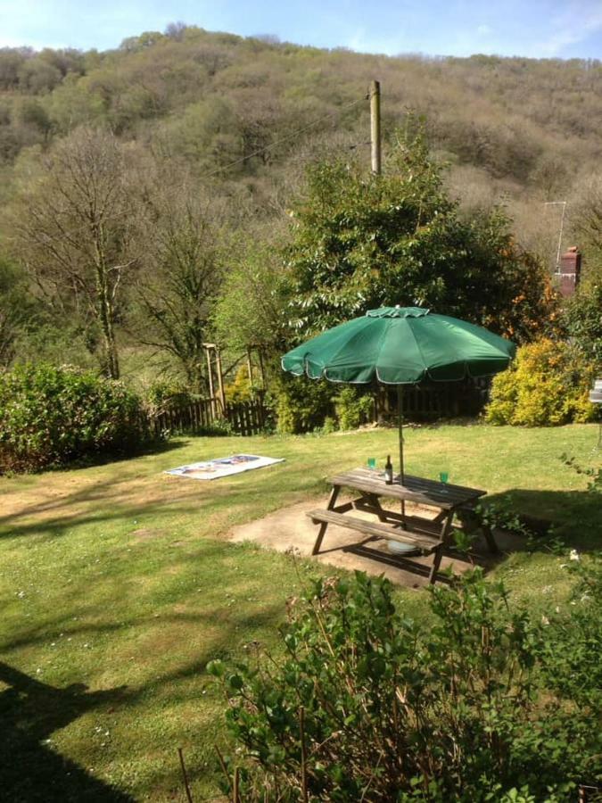 'Morris' The Shepherd'S Hut With Woodland Hot Tub Carmarthen Esterno foto