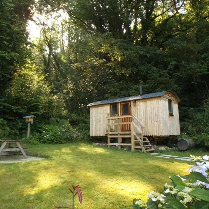 'Morris' The Shepherd'S Hut And Woodland Hot Tub Experience Carmarthen Esterno foto
