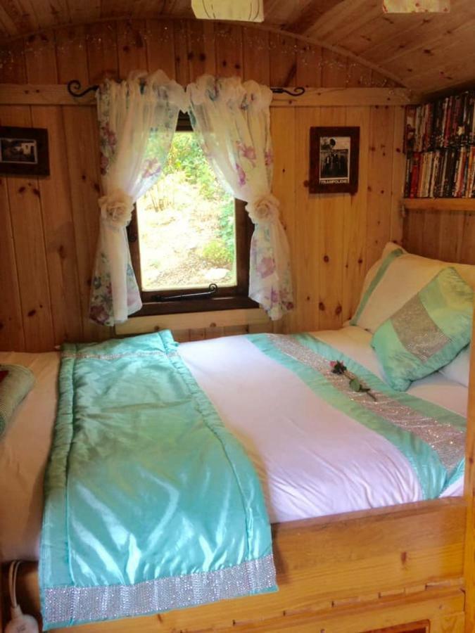 'Morris' The Shepherd'S Hut With Woodland Hot Tub Carmarthen Esterno foto