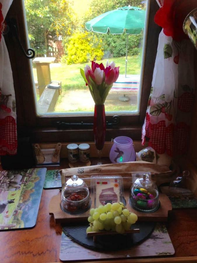 'Morris' The Shepherd'S Hut With Woodland Hot Tub Carmarthen Esterno foto