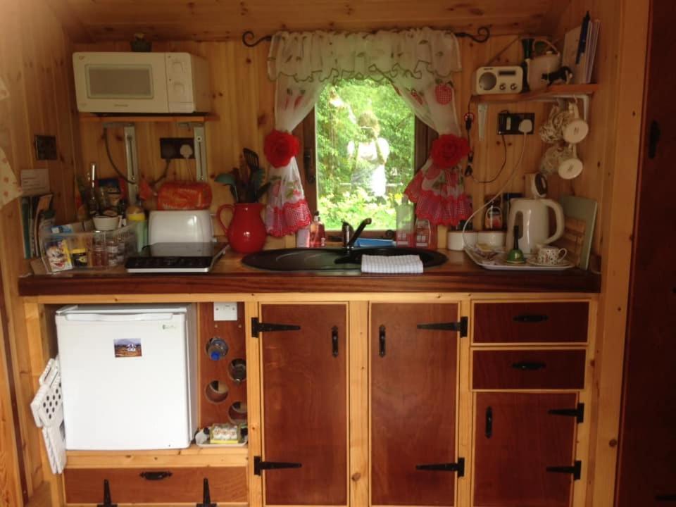 'Morris' The Shepherd'S Hut With Woodland Hot Tub Carmarthen Esterno foto