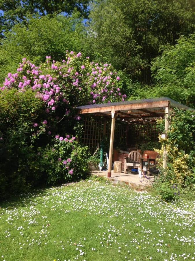 'Morris' The Shepherd'S Hut And Woodland Hot Tub Experience Carmarthen Esterno foto