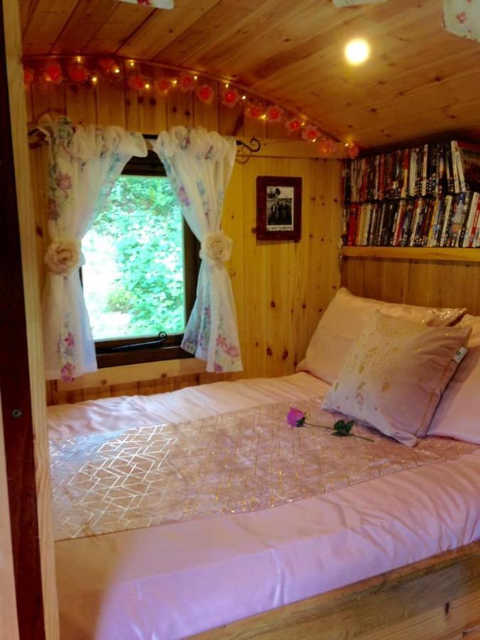 'Morris' The Shepherd'S Hut And Woodland Hot Tub Experience Carmarthen Esterno foto