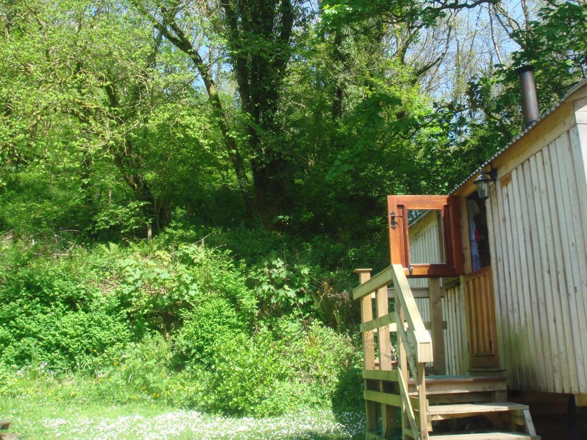 'Morris' The Shepherd'S Hut With Woodland Hot Tub Carmarthen Esterno foto